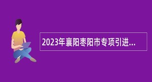 2023年襄阳枣阳市专项引进紧缺人才公告