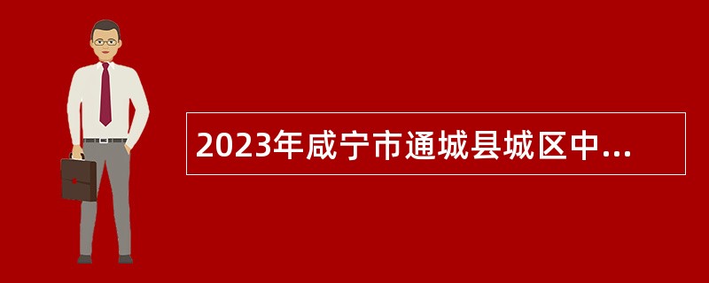 2023年咸宁市通城县城区中小学教师招聘公告