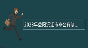 2023年益阳沅江市非公有制经济组织和社会组织招聘专职党建指导员公告