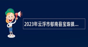 2023年云浮市郁南县宝珠镇招聘农村集体“三资”管理服务平台人员公告