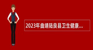 2023年曲靖陆良县卫生健康局所属事业单位招聘事业单位工作人员公告