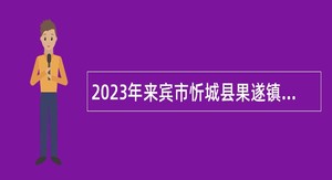 2023年来宾市忻城县果遂镇人民政府防返贫信息员招聘公告