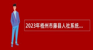 2023年梧州市藤县人社系统招聘编制外人员公告（三）