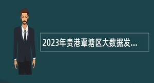 2023年贵港覃塘区大数据发展和政务局招聘编外工作人员公告