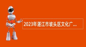 2023年湛江市坡头区文化广电旅游体育局面向社会招聘编外人员公告