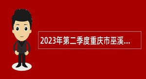 2023年第二季度重庆市巫溪县事业单位招聘考试公告（115名）