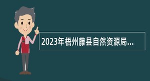 2023年梧州藤县自然资源局招聘第一批编外工作人员公告