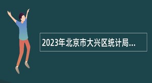 2023年北京市大兴区统计局招聘临时辅助用工公告
