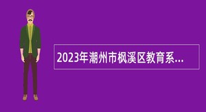 2023年潮州市枫溪区教育系统暑期招聘中小学教师公告