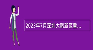 2023年7月深圳大鹏新区重点区域建设发展中心招聘编外工作人员公告