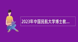 2023年中国民航大学博士教师招聘人员公告