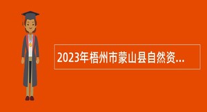 2023年梧州市蒙山县自然资源局招聘编外人员公告