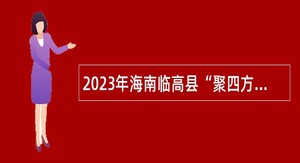 2023年海南临高县“聚四方之才共建自贸港”招聘医疗卫生专业技术人才公告（第一号）