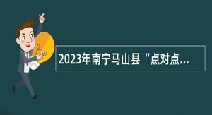 2023年南宁马山县“点对点”送工和乡村公岗专管员招募公告