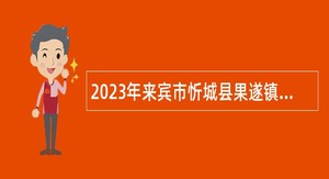 2023年来宾市忻城县果遂镇人民政府编外人员招聘公告