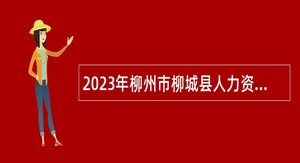 2023年柳州市柳城县人力资源和社会保障局编外合同制工作人员招聘公告