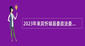 2023年来宾忻城县委政法委员会编外专业技术人员招聘公告