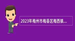 2023年梅州市梅县区梅西镇村级党群服务中心政务服务专职人员招聘公告