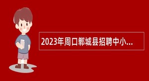 2023年周口郸城县招聘中小学幼儿教师公告