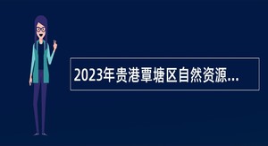2023年贵港覃塘区自然资源局招聘编外工作人员公告