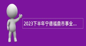 2023下半年宁德福鼎市事业单位招聘考试公告（84人）