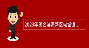 2023年茂名滨海新区电城镇事业单位招聘工作人员公告