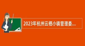 2023年杭州云栖小镇管理委员会招聘编外合同制人员公告
