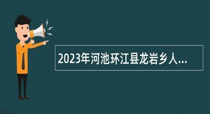 2023年河池环江县龙岩乡人民政府招聘政府购买服务岗位人员公告