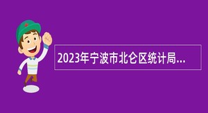 2023年宁波市北仑区统计局街道企业化专职统计人员招聘公告