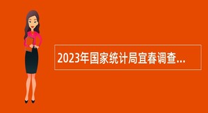 2023年国家统计局宜春调查队招聘工作人员公告