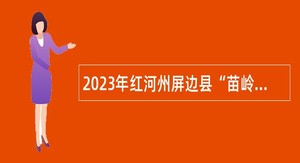2023年红河州屏边县“苗岭振兴”人才专项第二轮招聘公告