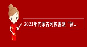 2023年内蒙古阿拉善盟“智汇驼乡·鸿雁归巢”引进高学历人才公告