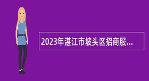 2023年湛江市坡头区招商服务中心招聘编外人员公告