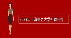 2023年上海电力大学招聘公告