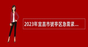 2023年宜昌市猇亭区急需紧缺人才引进公告