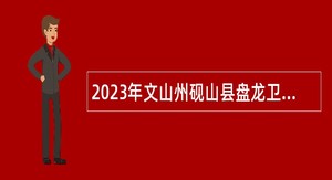 2023年文山州砚山县盘龙卫生院招聘乡村医生公告