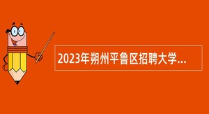 2023年朔州平鲁区招聘大学毕业生到村（社区）工作和事业单位工作人员公告