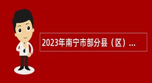 2023年南宁市部分县（区）统计局公开招聘统计协管员（协统员）公告