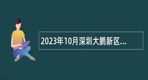 2023年10月深圳大鹏新区群团工作部招聘编外人员公告