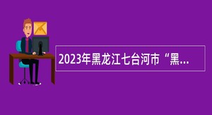 2023年黑龙江七台河市“黑龙江人才周”市财政局人才引进公告