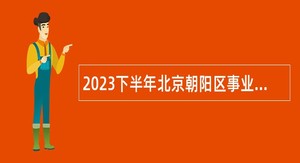 2023下半年北京朝阳区事业单位招聘考试公告（163人）