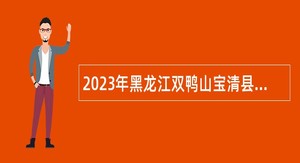 2023年黑龙江双鸭山宝清县高学历人才引进公告