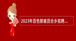 2023年百色那坡百合乡招聘乡村振兴档案员公告