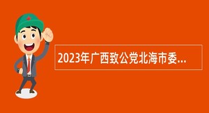 2023年广西致公党北海市委会招聘公告