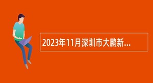 2023年11月深圳市大鹏新区综合办公室招聘编外人员公告