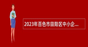 2023年百色市田阳区中小企业服务中心招聘公告