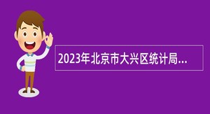 2023年北京市大兴区统计局招聘临时辅助用工人员公告