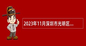 2023年11月深圳市光明区纪委监委选聘一般特聘专干公告
