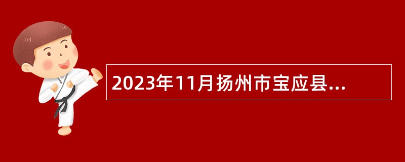 2023年11月扬州市宝应县教育系统事业单位招聘教师公告