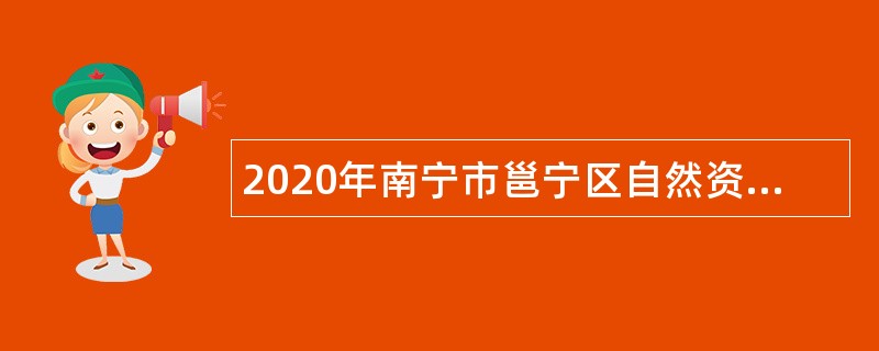 2020年南宁市邕宁区自然资源局招聘公告